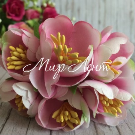 Півонія розкритий, 4,5 см, світло-рожевий, пучок