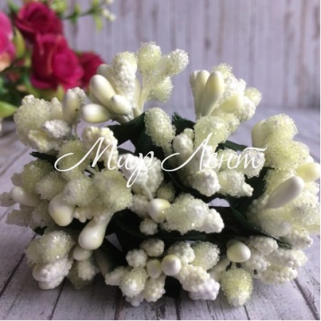 Гілочка з тичинками, молочна, пучок