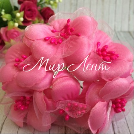 Космея, 5,5 см, світло-малиновий, пучок із 6 квіточок