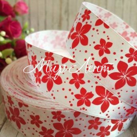 Атлас 2,5 см, вербена, бело-красный, метр