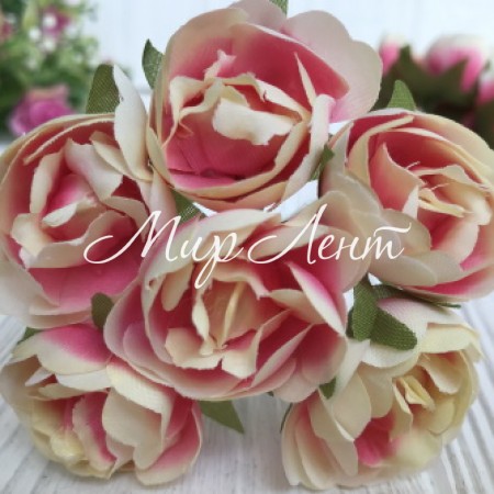 Півоноподібна троянда, 3 см, молочно-малиновий, пучок 6 шт.