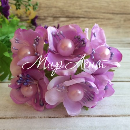 Колір яблуні з перлиною, фіолетовий.