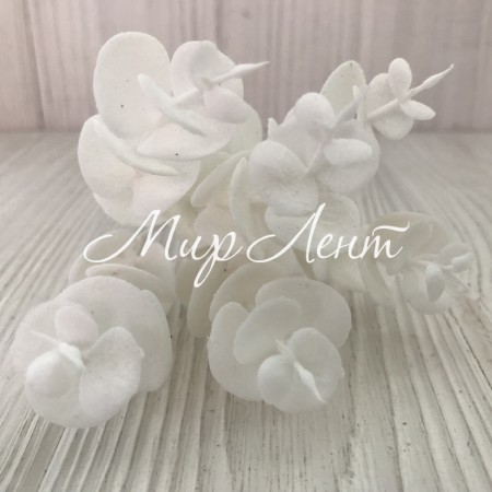 Добавка евкаліпту, 14 см, біла, шт.